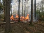  Brand, Schürliacher Winterberg 